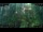 Webcam in Nakhon Ratchasima (Korat), 1980.8 km