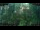 Webcam in Nakhon Ratchasima (Korat), 1337.7 km