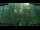 Webcam in Nakhon Ratchasima (Korat), 84.9 mi away