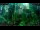 Webcam in Nakhon Ratchasima (Korat), 99.4 mi away