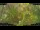 Webcam in Nakhon Ratchasima (Korat), 530.1 mi away
