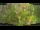 Webcam in Nakhon Ratchasima (Korat), 214.4 km