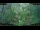Webcam in Nakhon Ratchasima (Korat), 1172.5 km