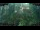 Webcam in Nakhon Ratchasima (Korat), 816.9 km