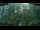 Webcam in Nakhon Ratchasima (Korat), 816.9 km