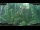 Webcam in Nakhon Ratchasima (Korat), 215.4 km entfernt