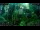 Webcam in Nakhon Ratchasima (Korat), 218.5 km entfernt