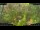 Webcam in Nakhon Ratchasima (Korat), 599.1 km