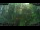 Webcam in Nakhon Ratchasima (Korat), 218.2 km entfernt