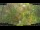 Webcam in Nakhon Ratchasima (Korat), 797.9 km