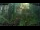 Webcam in Nakhon Ratchasima (Korat), 863.2 mi away
