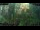 Webcam in Nakhon Ratchasima (Korat), 249.3 mi away