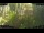 Webcam in Nakhon Ratchasima (Korat), 276.1 mi away