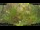 Webcam in Nakhon Ratchasima (Korat), 136.3 mi away