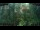 Webcam in Nakhon Ratchasima (Korat), 172.5 mi away