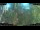 Webcam in Nakhon Ratchasima (Korat), 215.4 km