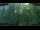 Webcam in Nakhon Ratchasima (Korat), 822.8 mi away