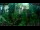 Webcam in Nakhon Ratchasima (Korat), 318.8 mi away