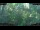 Webcam in Nakhon Ratchasima (Korat), 904.3 km