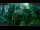 Webcam in Nakhon Ratchasima (Korat), 863.2 mi away