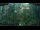 Webcam in Nakhon Ratchasima (Korat), 263.5 mi away