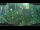 Webcam in Nakhon Ratchasima (Korat), 84.2 mi away