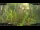 Webcam in Nakhon Ratchasima (Korat), 214.4 km