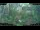 Webcam in Nakhon Ratchasima (Korat), 891.3 km