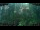Webcam in Nakhon Ratchasima (Korat), 215.4 km entfernt