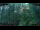 Webcam in Nakhon Ratchasima (Korat), 816.9 km entfernt
