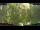 Webcam in Nakhon Ratchasima (Korat), 231.2 mi away