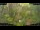 Webcam in Nakhon Ratchasima (Korat), 414.7 mi away