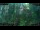Webcam in Nakhon Ratchasima (Korat), 207.7 mi away