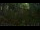 Webcam in Nakhon Ratchasima (Korat), 204.7 km