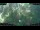 Webcam in Nakhon Ratchasima (Korat), 550.4 km entfernt