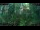Webcam in Nakhon Ratchasima (Korat), 231.2 mi away