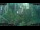 Webcam in Nakhon Ratchasima (Korat), 263.5 mi away