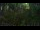 Webcam in Nakhon Ratchasima (Korat), 650 km