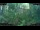 Webcam in Nakhon Ratchasima (Korat), 207.7 mi away