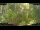 Webcam in Nakhon Ratchasima (Korat), 816.9 km entfernt