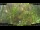 Webcam in Nakhon Ratchasima (Korat), 345 mi away
