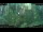 Webcam in Nakhon Ratchasima (Korat), 249.3 mi away