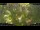 Webcam in Nakhon Ratchasima (Korat), 2134.5 km