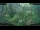Webcam in Nakhon Ratchasima (Korat), 120 mi away