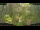 Webcam in Nakhon Ratchasima (Korat), 84.2 mi away
