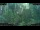 Webcam in Nakhon Ratchasima (Korat), 215.4 km entfernt