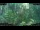 Webcam in Nakhon Ratchasima (Korat), 90 mi away
