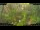 Webcam in Nakhon Ratchasima (Korat), 904.3 km entfernt