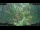 Webcam in Nakhon Ratchasima (Korat), 336.2 mi away