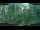 Webcam in Nakhon Ratchasima (Korat), 263.5 mi away